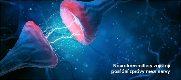 Neurotransmittery zajišťují posílání zprávy mezi nervy